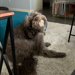 Meet your Posher, Renata